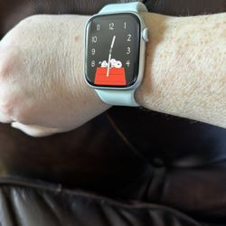 Apple Series 9 Watch, 45mm, Gps, Silver Case, Extra Band, Unlocked, $300