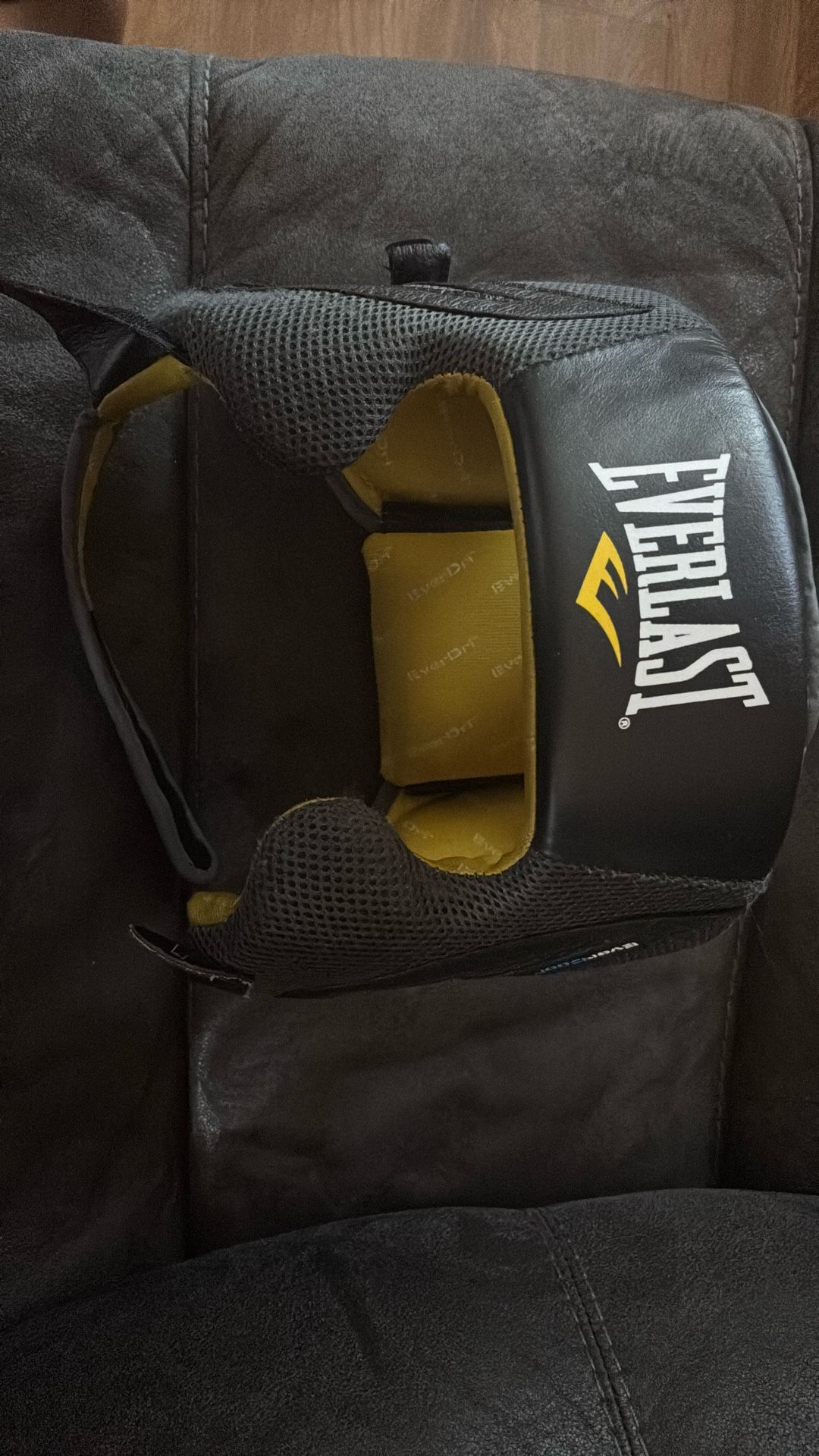 check Protector