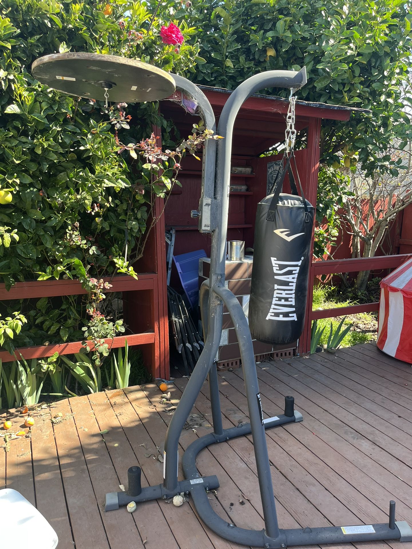 Everlast punching bag