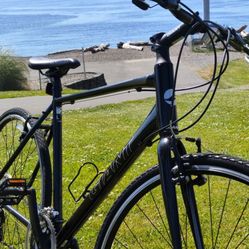 Giant Escape In Excellent Condition 