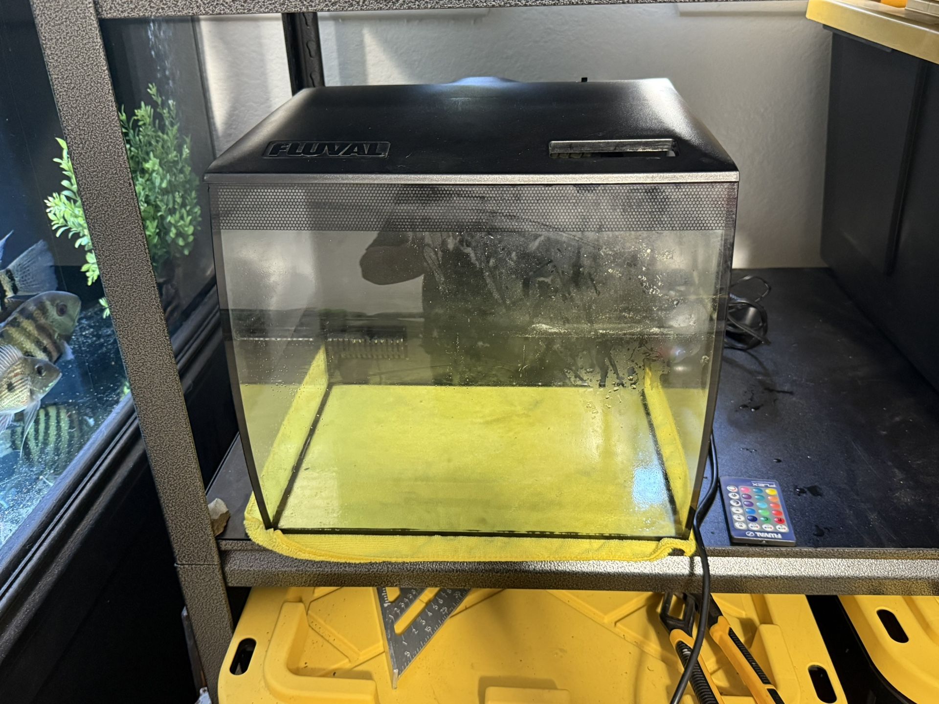 Fish Tank