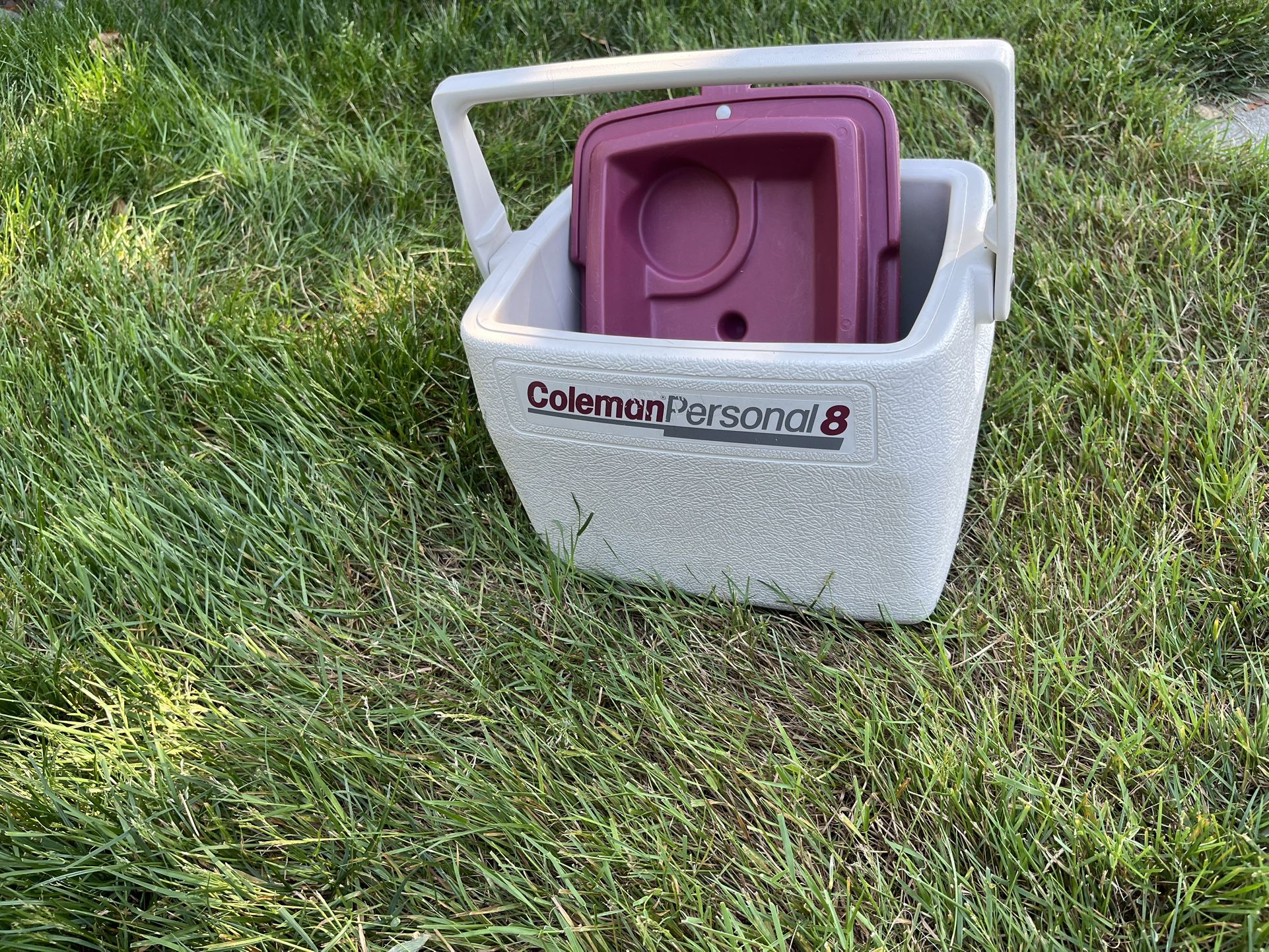 Coleman Personal 8 Cooler