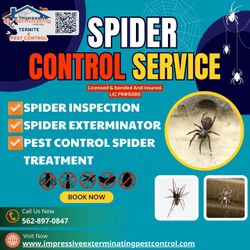 Ants, cockroaches, spiders and other bugs