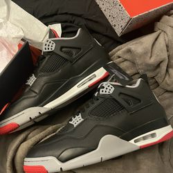 Bred 4 Reimagined Size 12