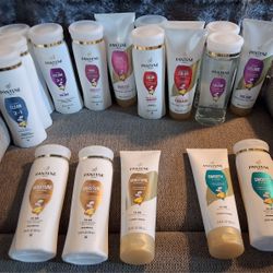 Pantene Shampoo/Conditioner 