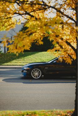 2021 Ford Mustang