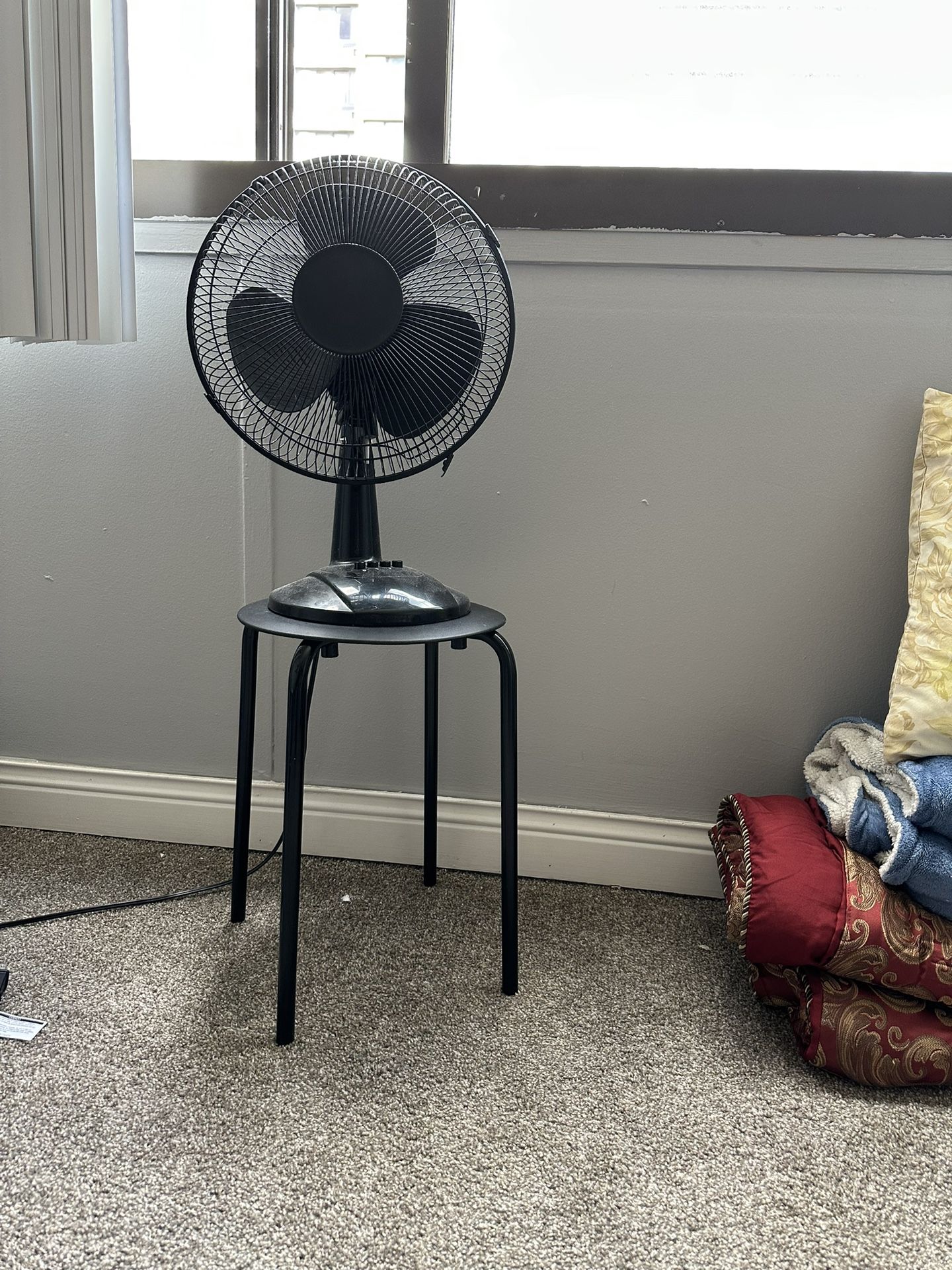 Fan