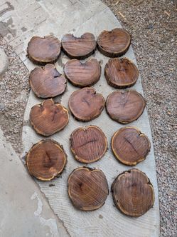 Mesquite Wood Rounds 10"-11"