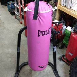 Everlast Pink Punching Bag On Stand