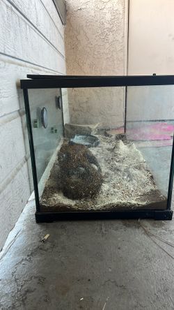 Reptile Tank