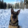Sam