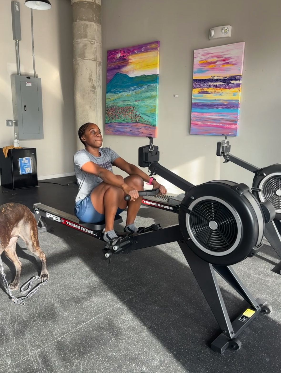 π£πΎββοΈ FINAL WEEK SALE β Perform Better Rower | Commercial-Grade Full-Body Trainer | Must Go!