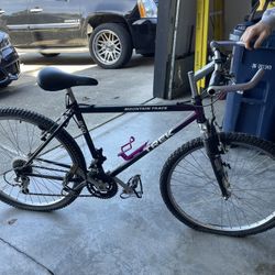 Trek Mountain Bike