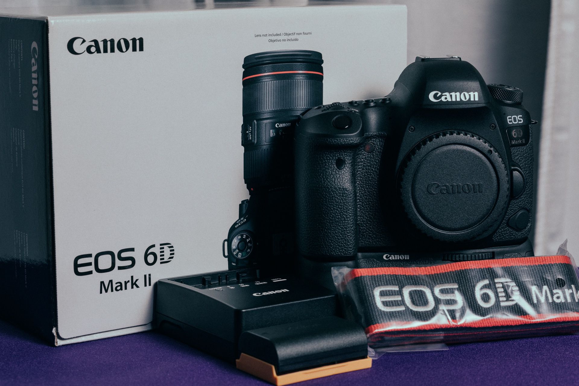Canon EOS 6D Mark II DSLR Camera (Body Only), Canon BG-E21 Battery Grip