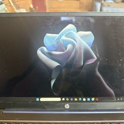 Hp Pavilion Laptop 15