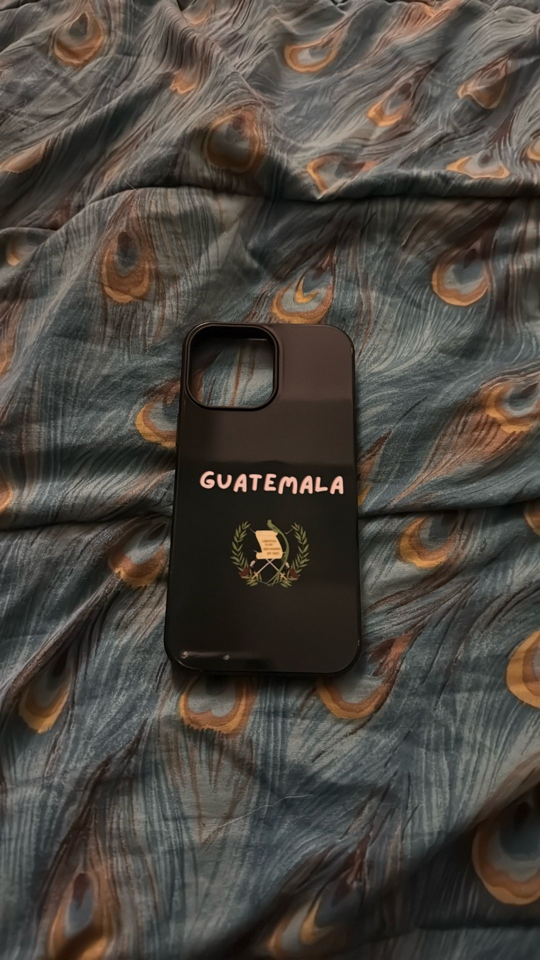 iPhone 13 Pro Max Case