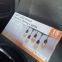 Smart Lights