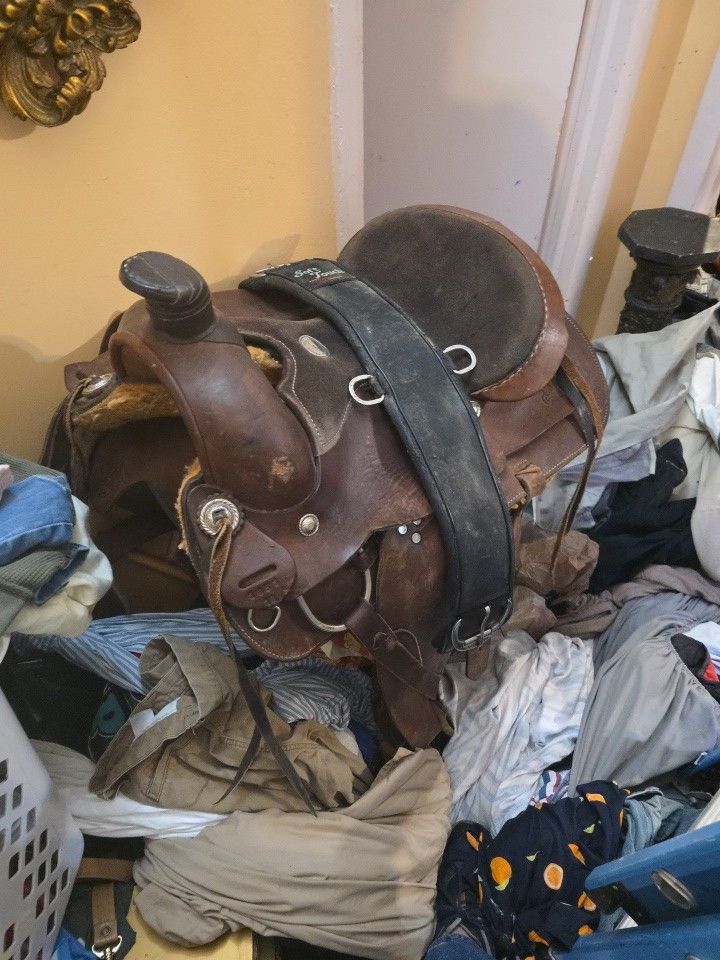 My Kids Saddle Ready To Let It Go.