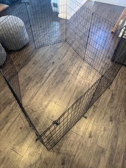Dog Cages