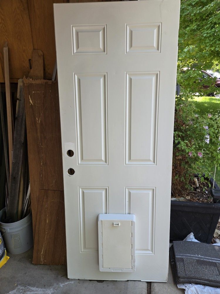 Exterior Door With Dog Door (Small Dogs Only)
