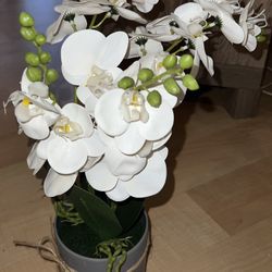 Artificial Plant Orchid Potted 