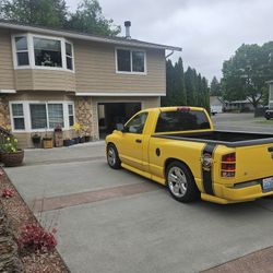 05 RUMBLE BEE
