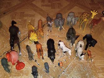 Toys