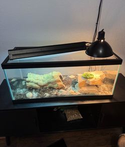 Reptile enclosure