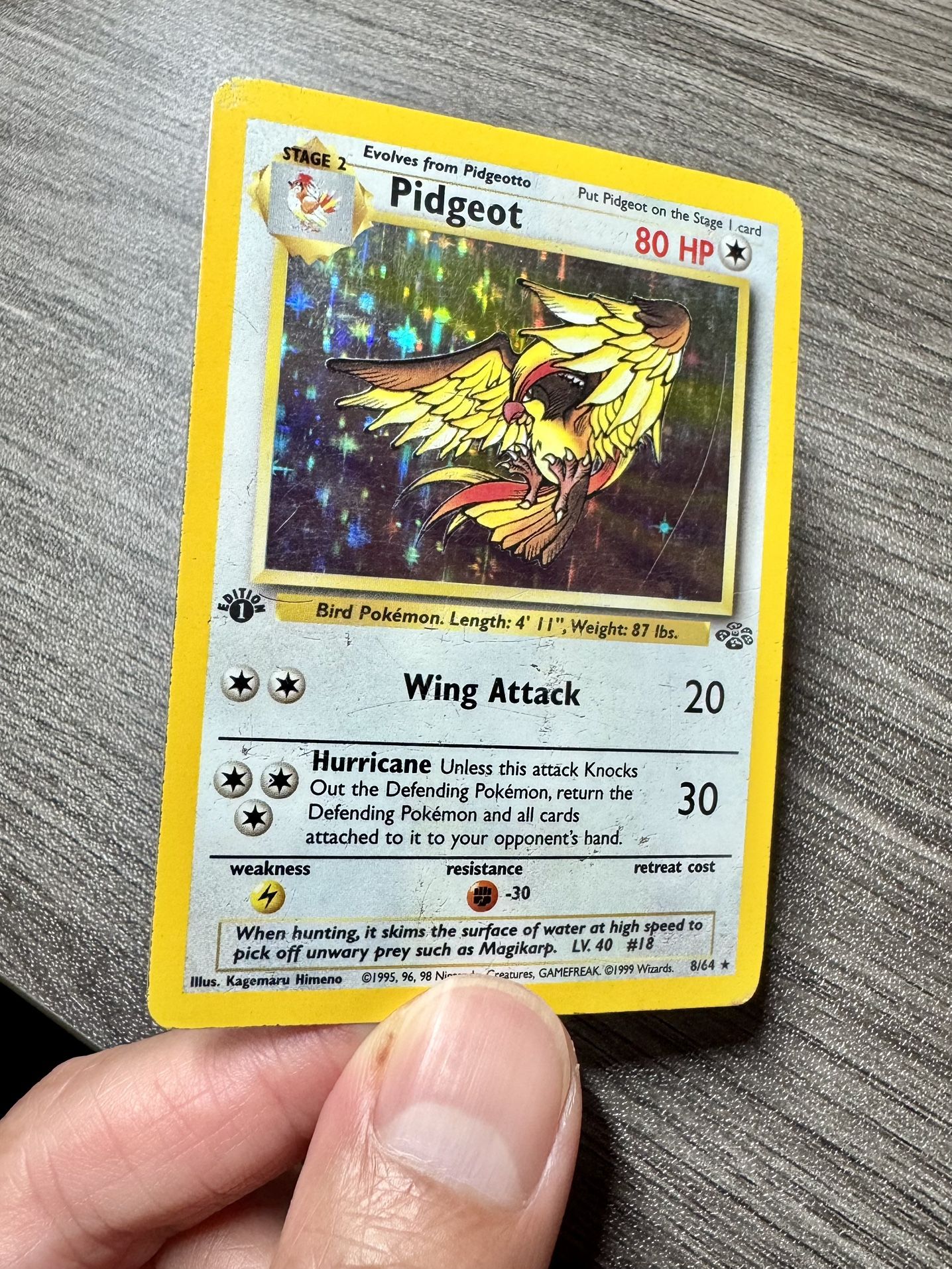Pidgeot 8/64 Jungle Set 1999 Pokmon TCG WOTC 1st Edition Holo Rare*MP - thefunkyskunk.ie Pidgeot 8/64 Jungle Set 1999 Pokmon TCG WOTC 1st Edition Holo Rare*MP - thefunkyskunk.ie