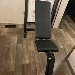 Cama Para Ejercicio Nueva