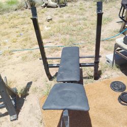 Workout Bench 