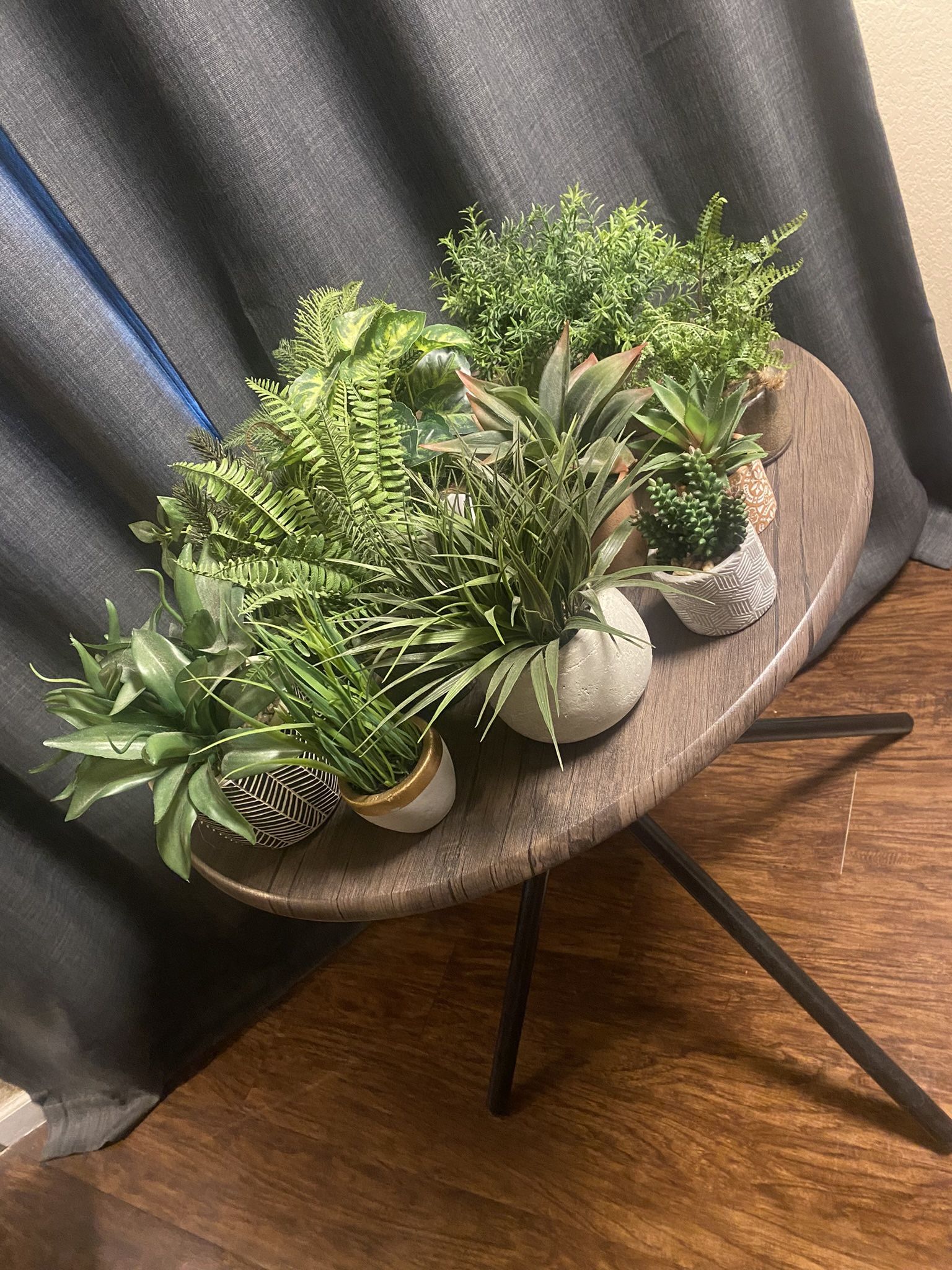 Collection Of Fake Plants 