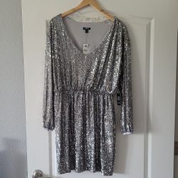 Express Silver Sequin Dress 