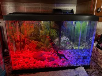 20 Gallon Complete Fish Tank/Aquarium Set!