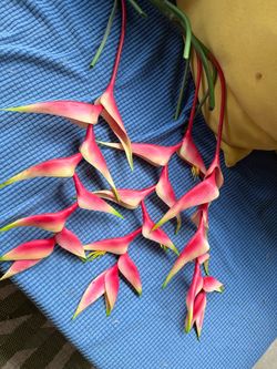 Artificial Heliconia Tropical Flowers