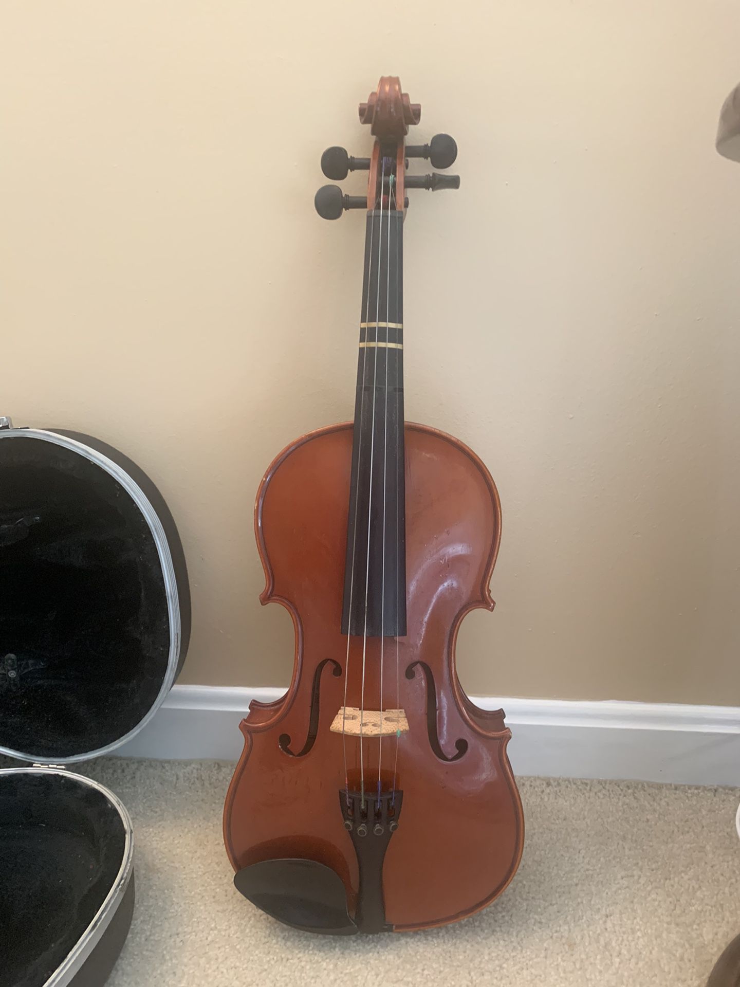 Violin For Adult 