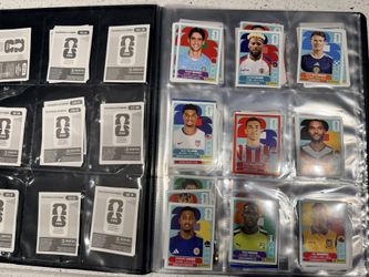 Panini World Cup Stickers