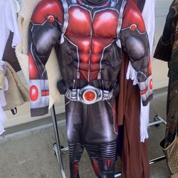 Antman Halloween Costume $20 obo 