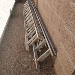 Extinction Ladders