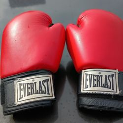 Everlast Boxing Gloves