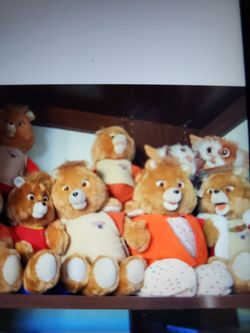 Teddy redskins dolls perfect  50 each