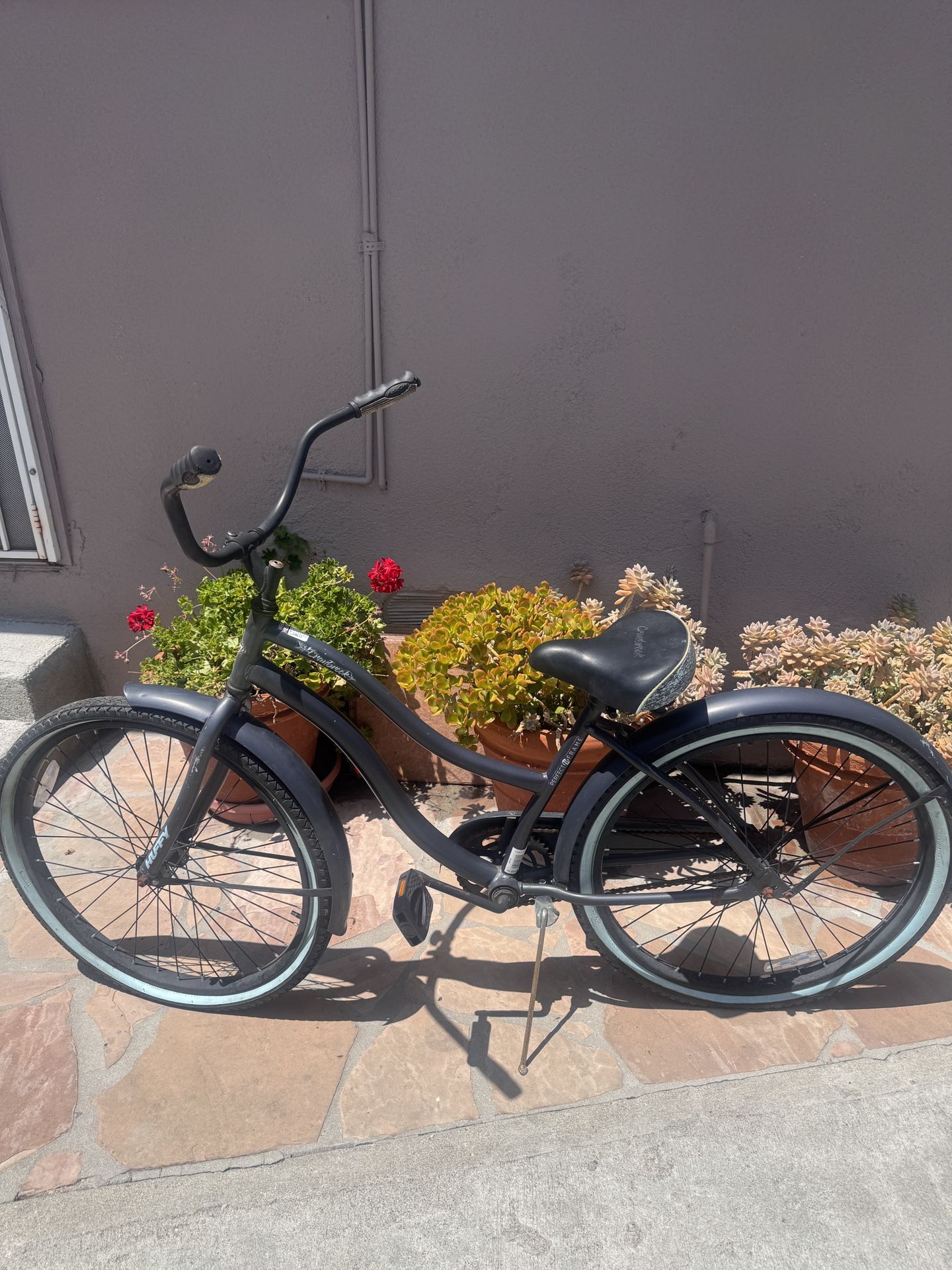 Beach Cruiser Bike