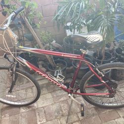 Giant Sedona Bike Size 21 Hybrid 