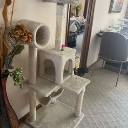 Kitten House. Used