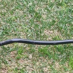 standard EZ curl bar set used for weightlifting exercises