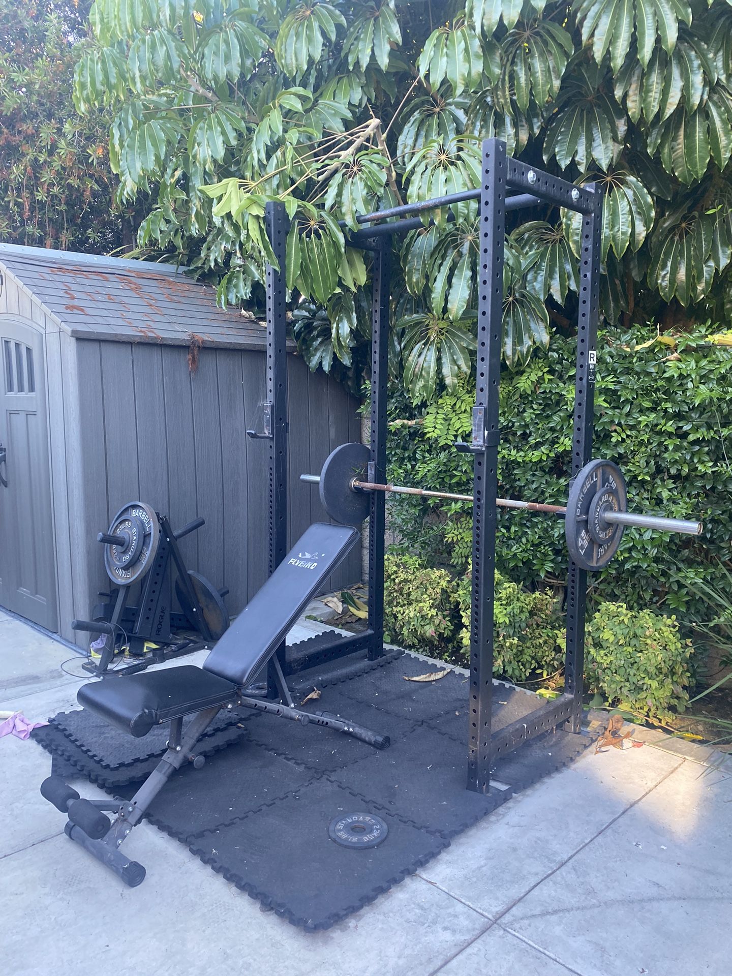 Squat Rack With Weights