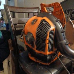 Stihl BR600