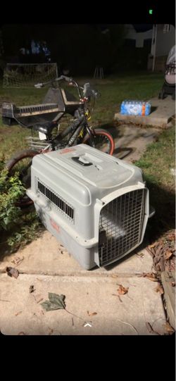Gray Plastic Pet Travel Crate
