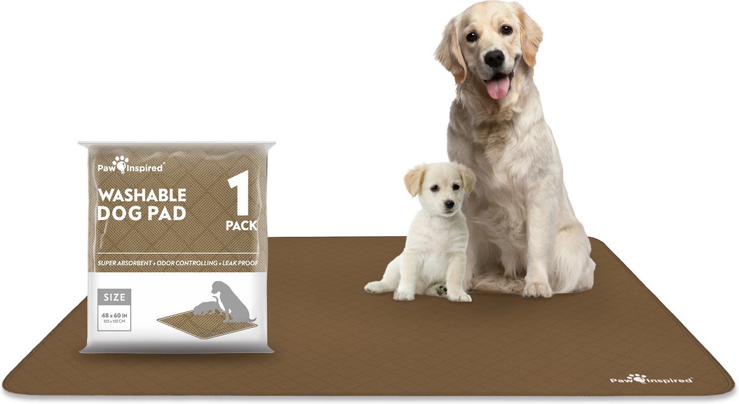 Paw Inspired Washable Doggy Play Mat 72x72