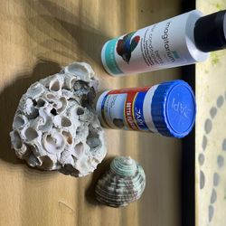 Fish tank tap conditioner, betta flakes, Coral shell, Blue/white real ocean shell all new